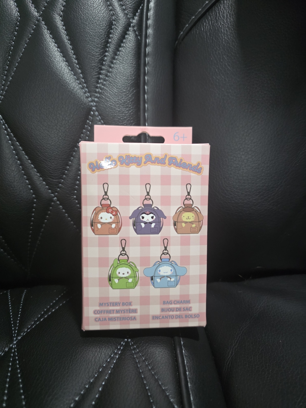 Hello Kitty and Friends Mystery Bag Charm - Pink Plaid Packaging